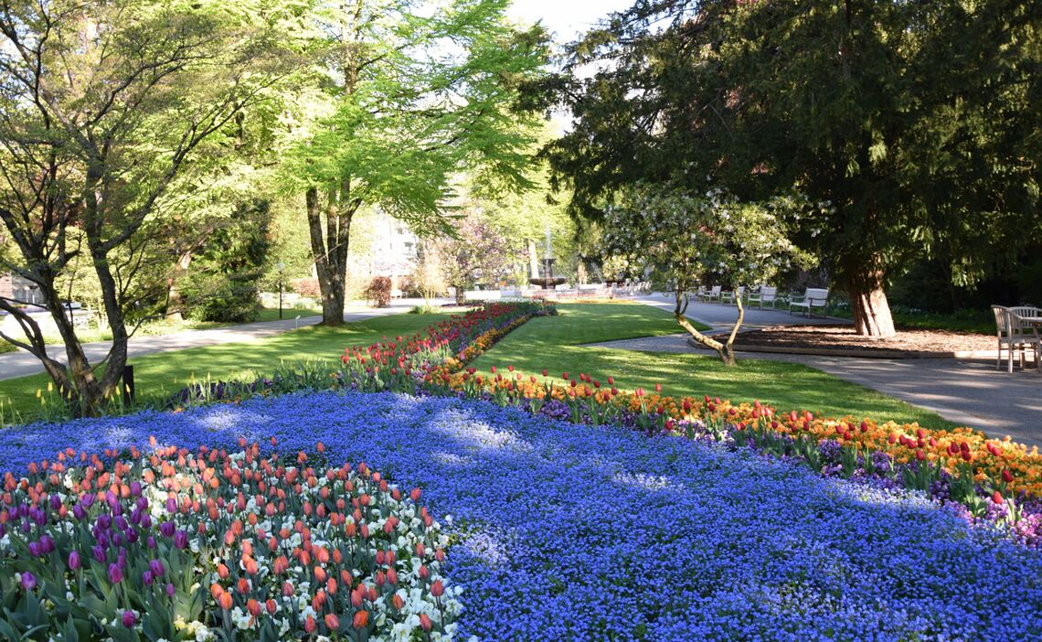 Blumenmeer im Königlichen Kurgarten
